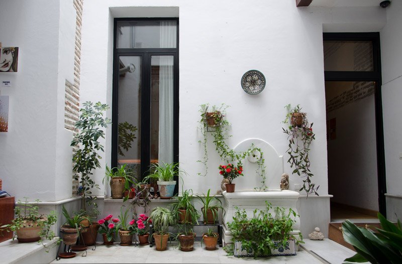 ground floor view with plants